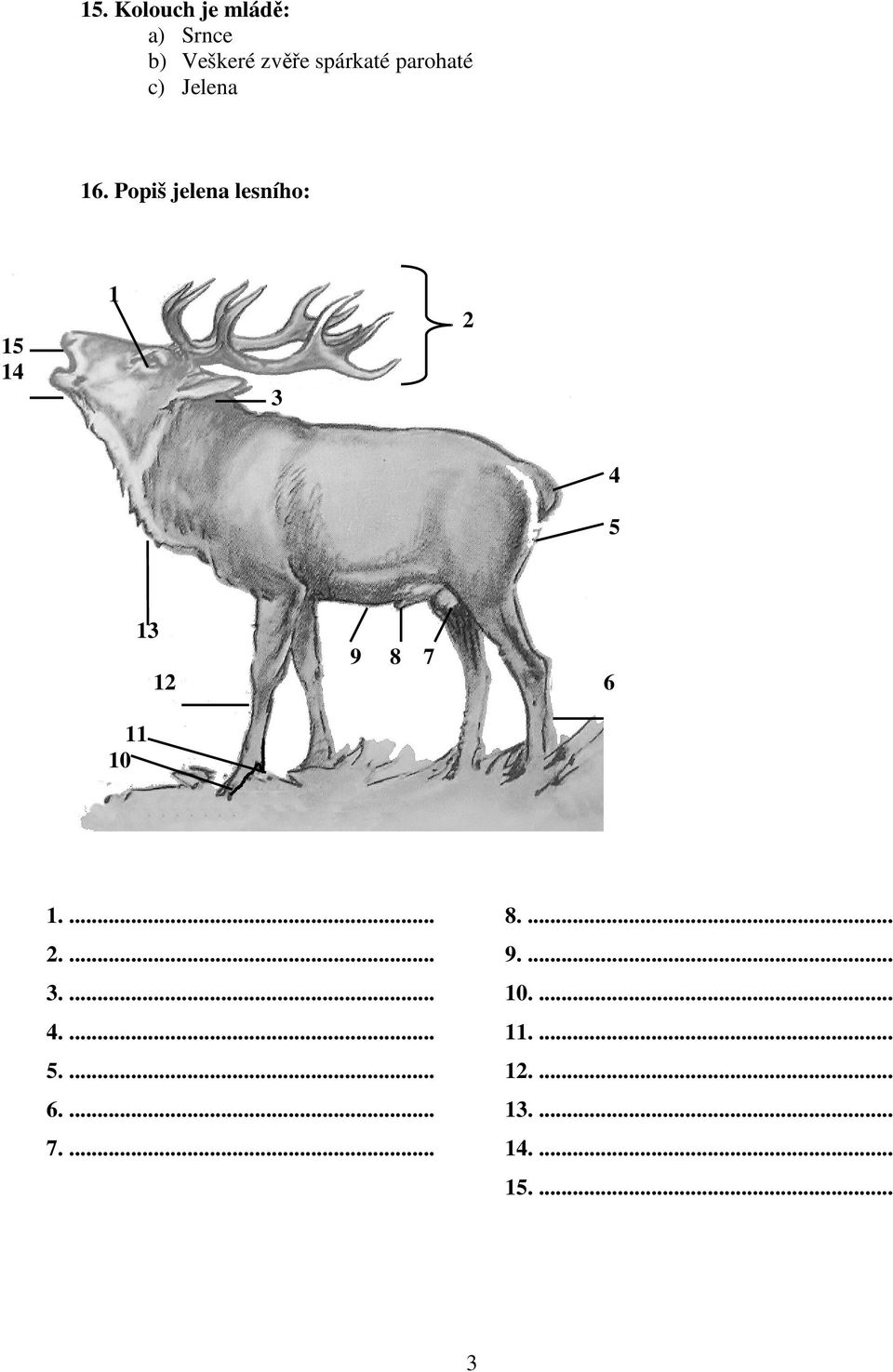Popiš jelena lesního: 15 14 1 3 2 4 5 11 10 13 9 8 7 12 6