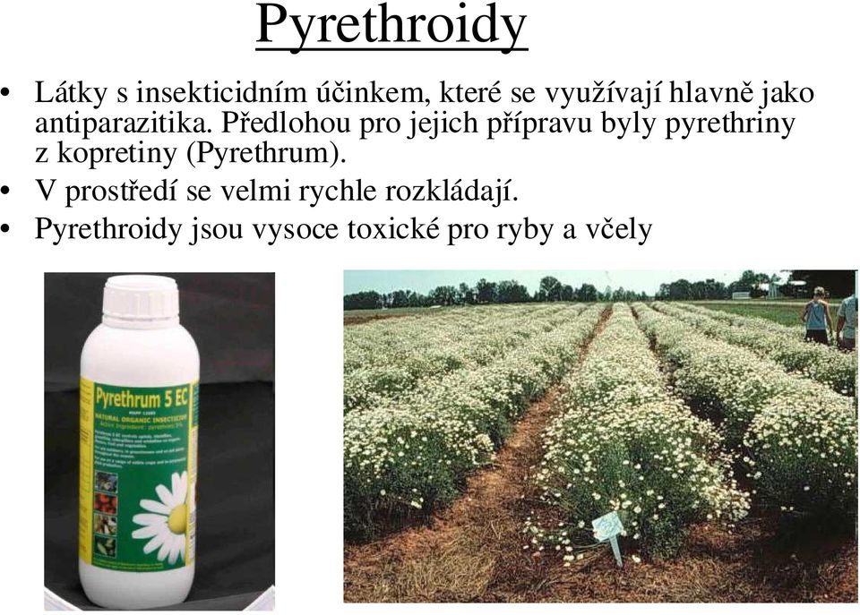 Předlohou pro jejich přípravu byly pyrethriny z kopretiny