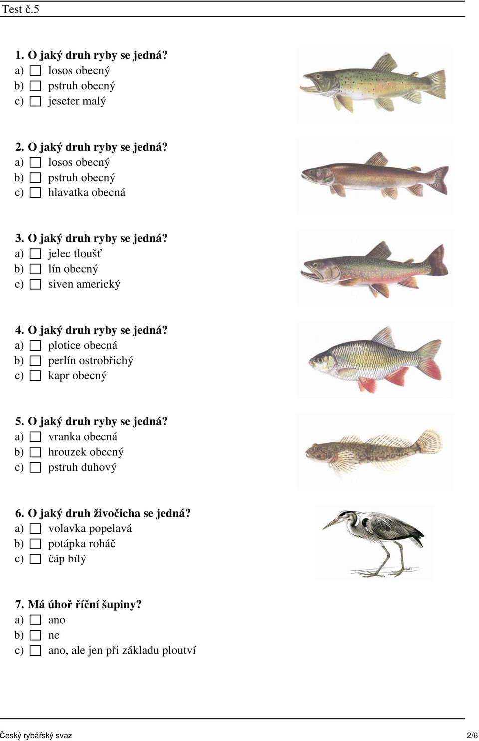 a) plotice obecná b) perlín ostrobřichý c) kapr obecný 5. O jaký druh ryby se jedná? a) vranka obecná b) hrouzek obecný c) pstruh duhový 6.