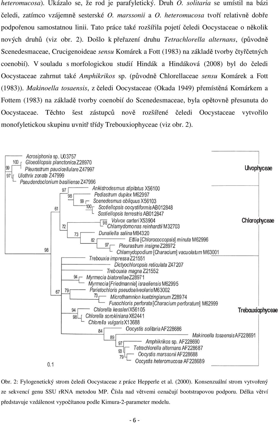 Došlo k přeřazení druhu Tetrachlorella alternans, (původně Scenedesmaceae, Crucigenoideae sensu Komárek a Fott (1983) na základě tvorby čtyřčetných coenobií).