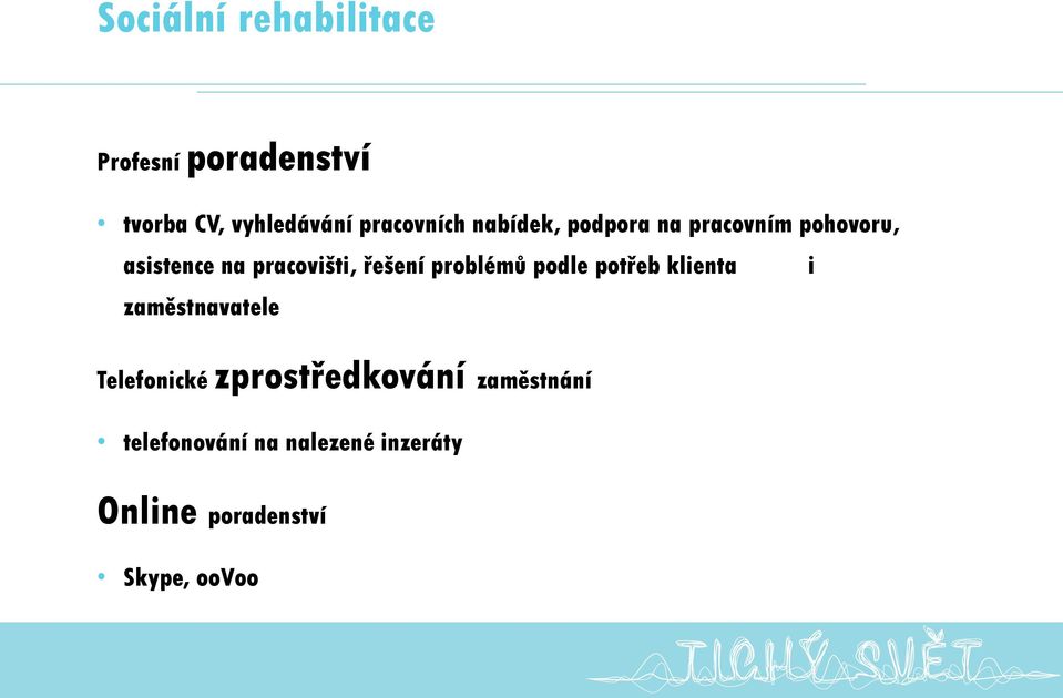 pracovišti, řešení problémů podle potřeb klienta i zaměstnavatele