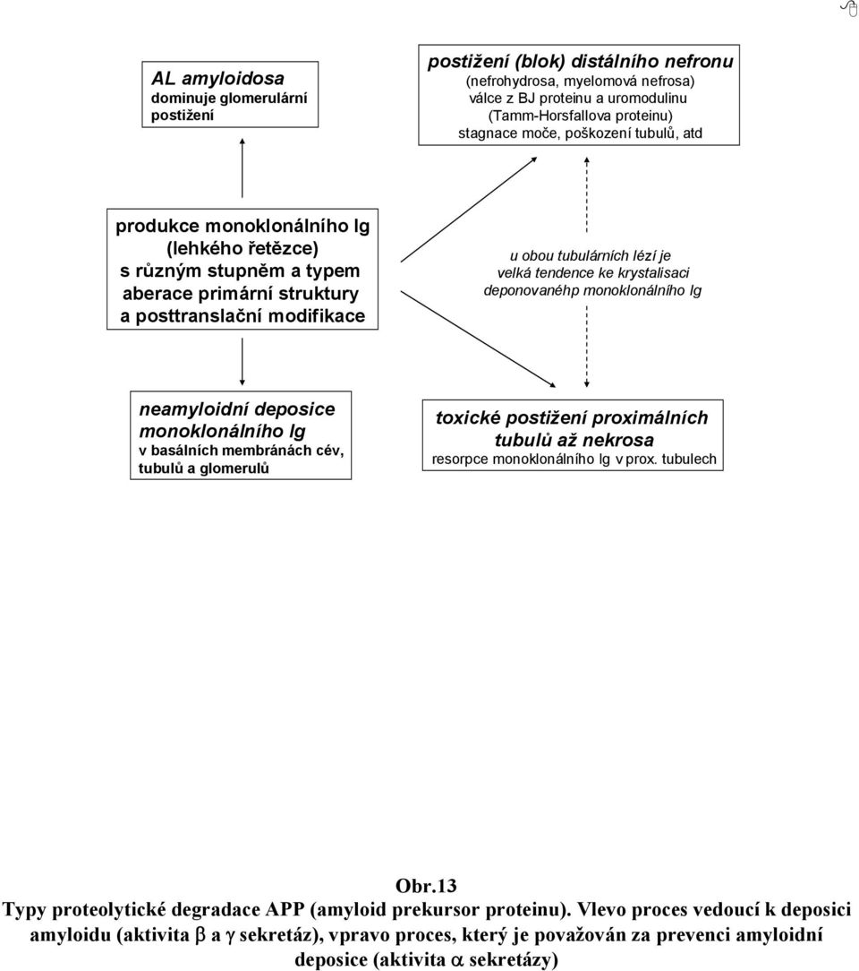 krystalisaci deponovanéhp monoklonálního Ig neamyloidní deposice monoklonálního Ig v basálních membránách cév, tubulů a glomerulů toxické postižení proximálních tubulů až nekrosa resorpce