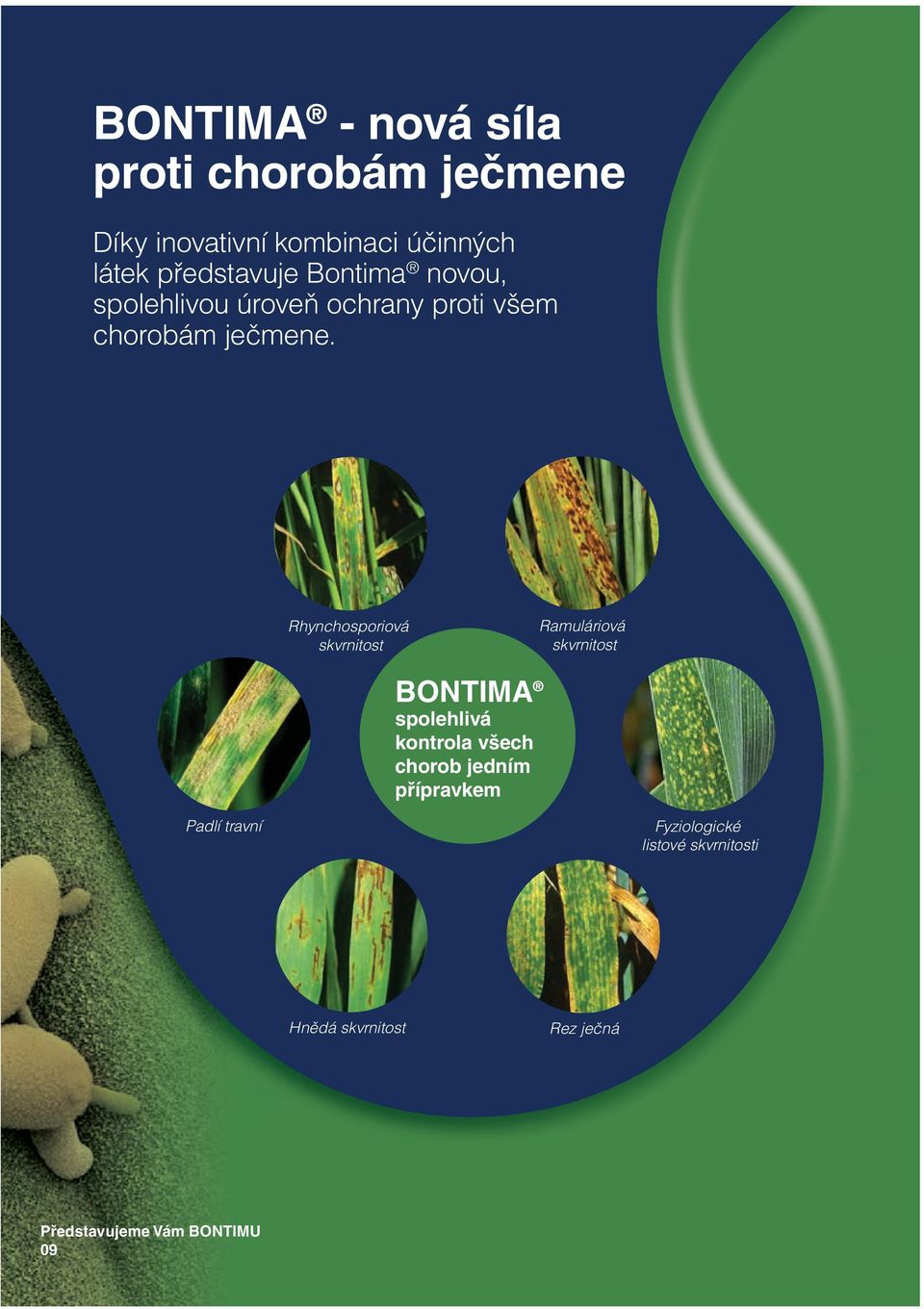 Rhynchosporiová skvrnitost Ramuláriová skvrnitost BONTIMA spolehlivá kontrola všech