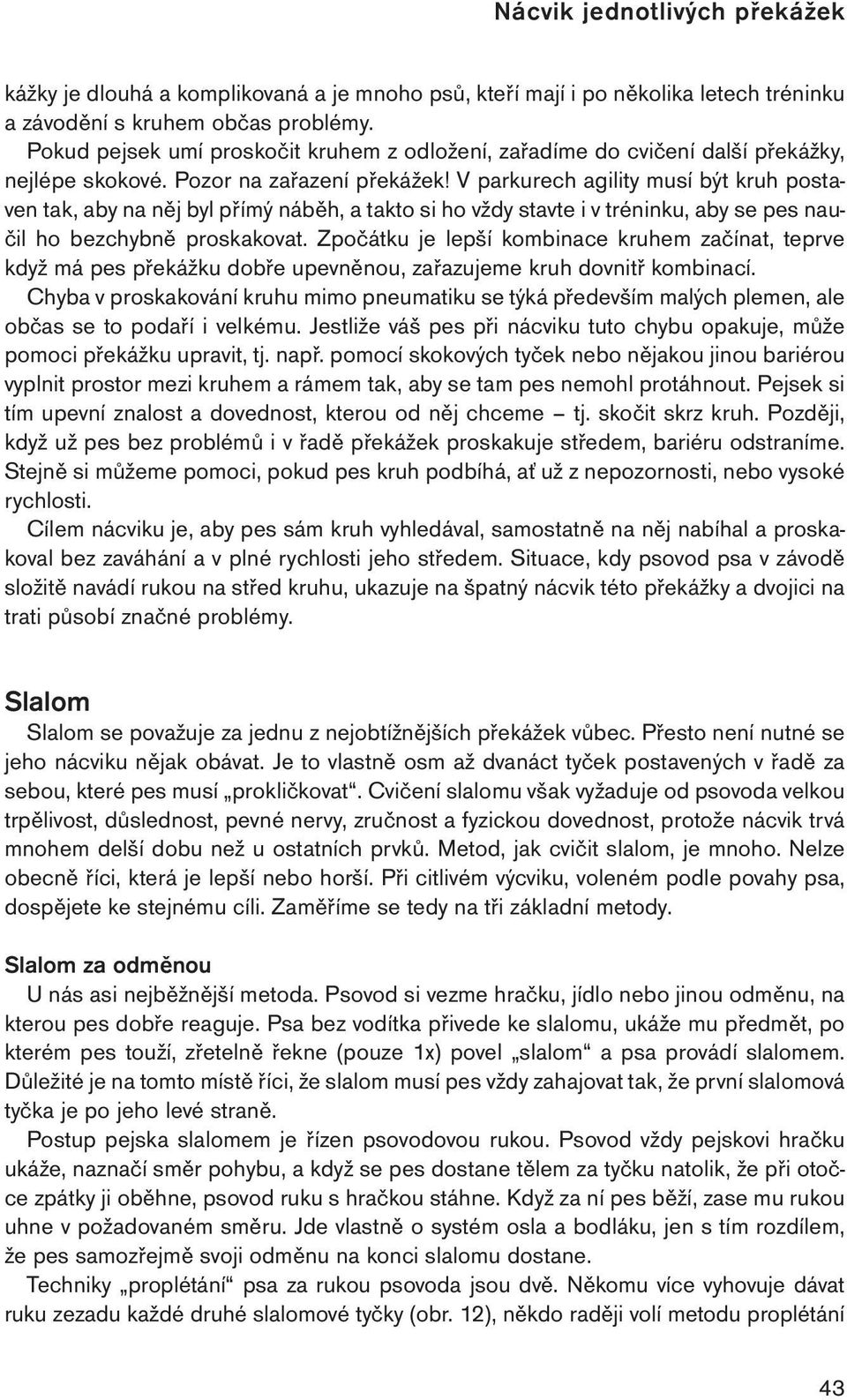 V parkurech agility musí být kruh postaven tak, aby na něj byl přímý náběh, a takto si ho vždy stavte i v tréninku, aby se pes naučil ho bezchybně proskakovat.