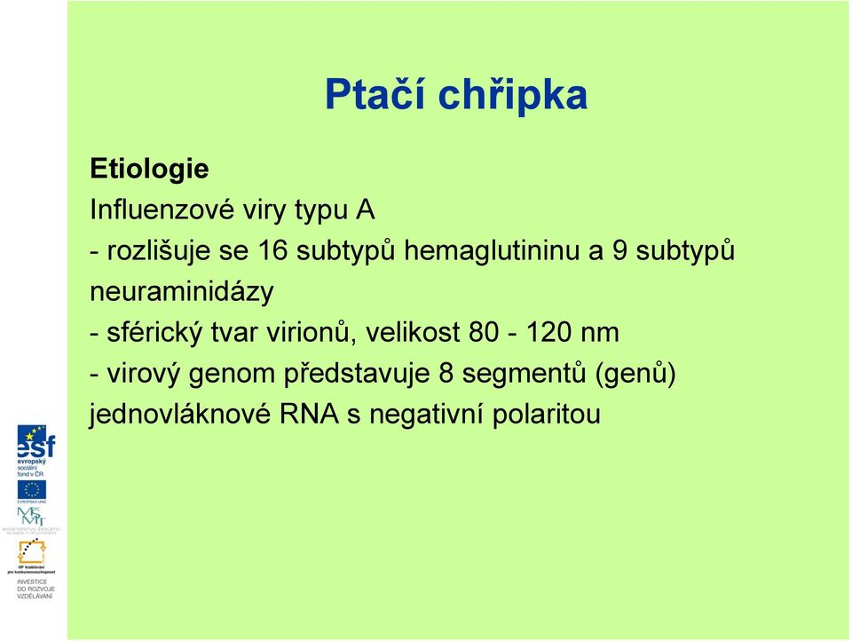 sférický tvar virionů, velikost 80-120 nm - virový genom