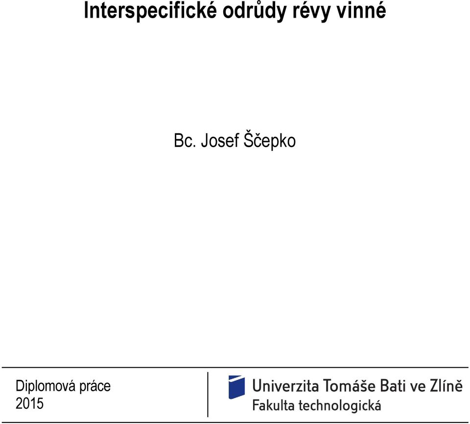 Bc. Josef Ščepko