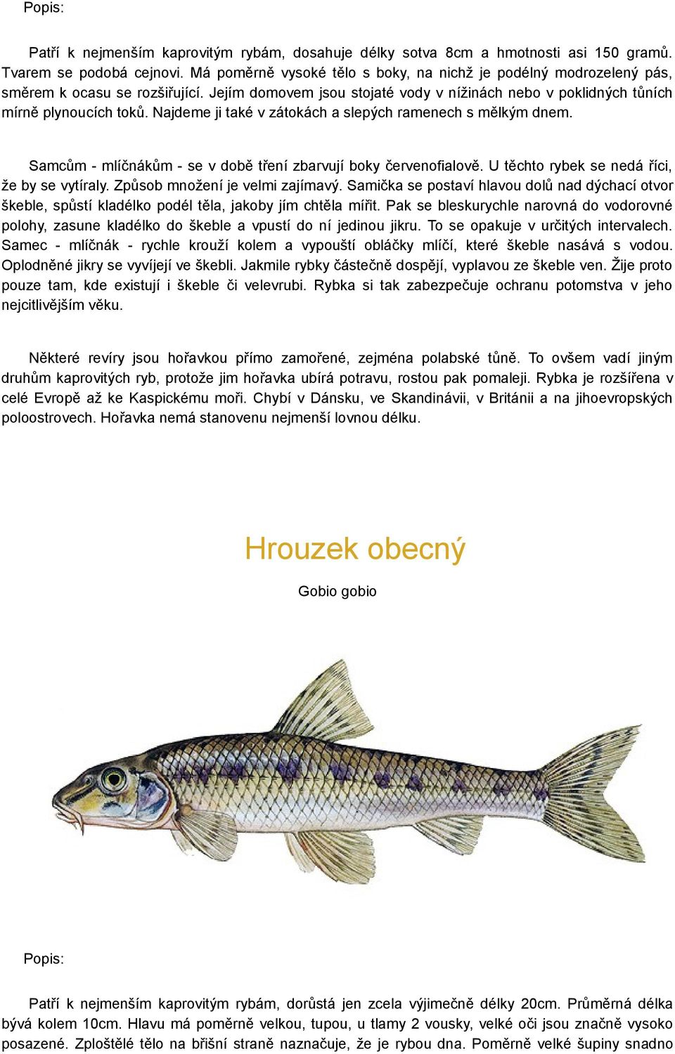 Najdeme ji také v zátokách a slepých ramenech s mělkým dnem. Samcům - mlíčnákům - se v době tření zbarvují boky červenofialově. U těchto rybek se nedá říci, že by se vytíraly.