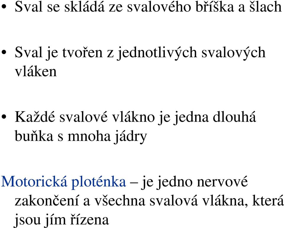 dlouhá buňka s mnoha jádry Motorická ploténka je jedno