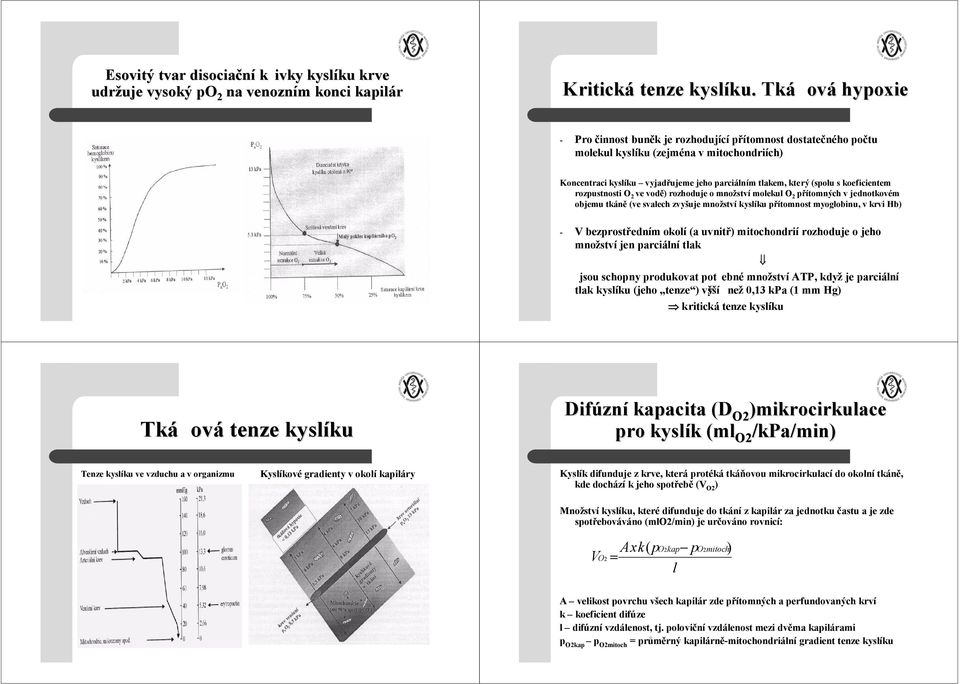 Tká ová hypoxie - Pro činnost buněk je rozhodující přítomnost dostatečného počtu molekul kyslíku (zejména v mitochondriích) Koncentraci kyslíku vyjadřujeme jeho parciálním tlakem, který (spolu s