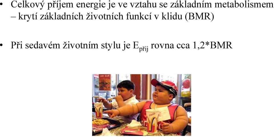 životních funkcí v klidu (BMR) Při