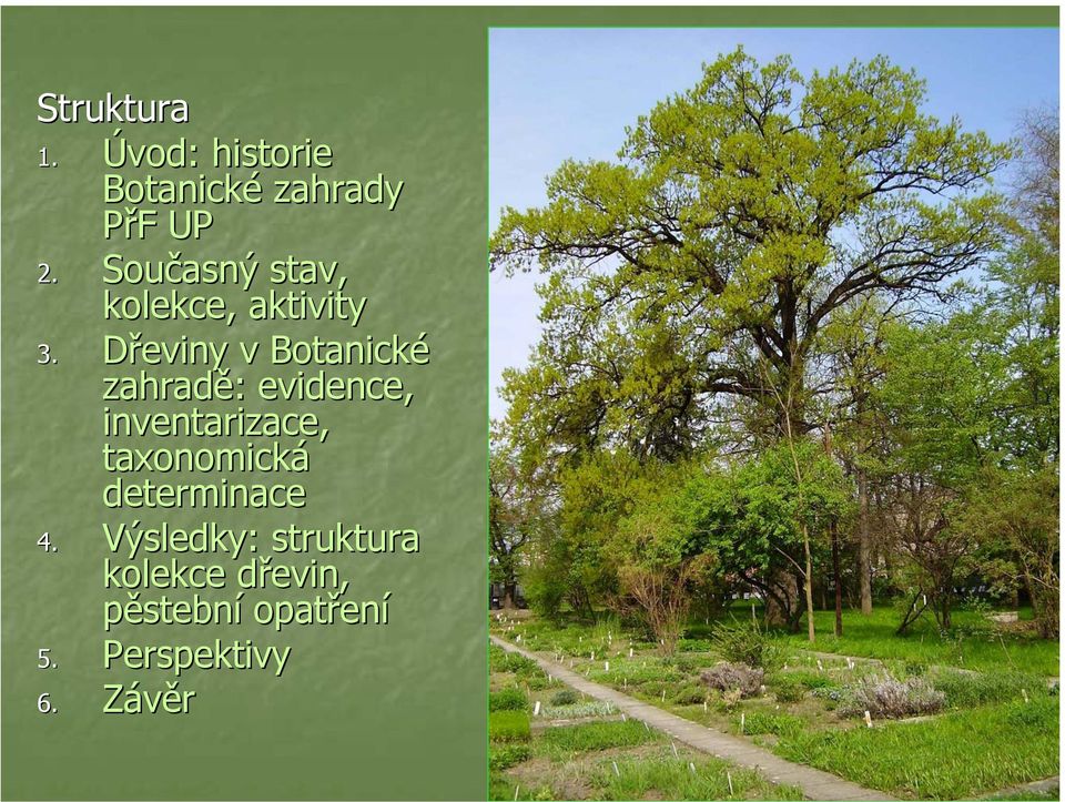 Dřeviny v Botanické zahradě: evidence, inventarizace,