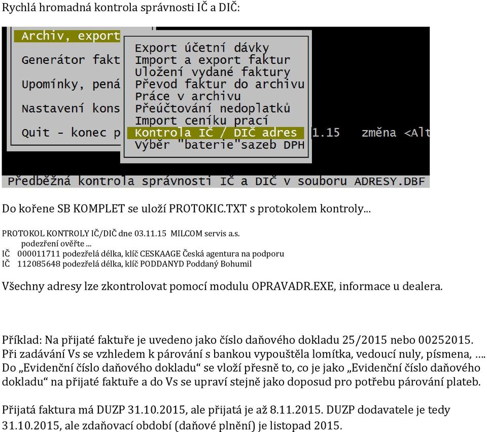 EXE, informace u dealera. Příklad: Na přijaté faktuře je uvedeno jako číslo daňového dokladu 25/2015 nebo 00252015.