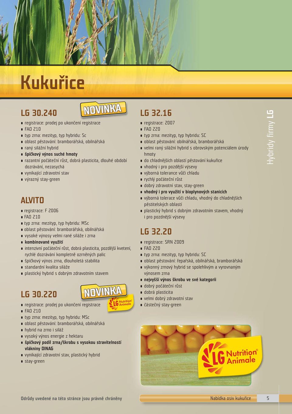 růst, dobrá plasticita, dlouhé období dozrávání, nezasychá vynikající zdravotní stav výrazný stay-green ALVITO registrace: F 2006 FAO 210 typ zrna: mezityp, typ hybridu: MSc oblast pěstování: