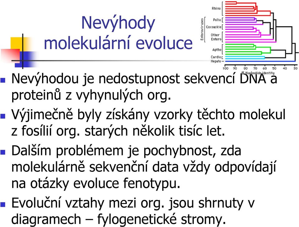 starých několik tisíc let.