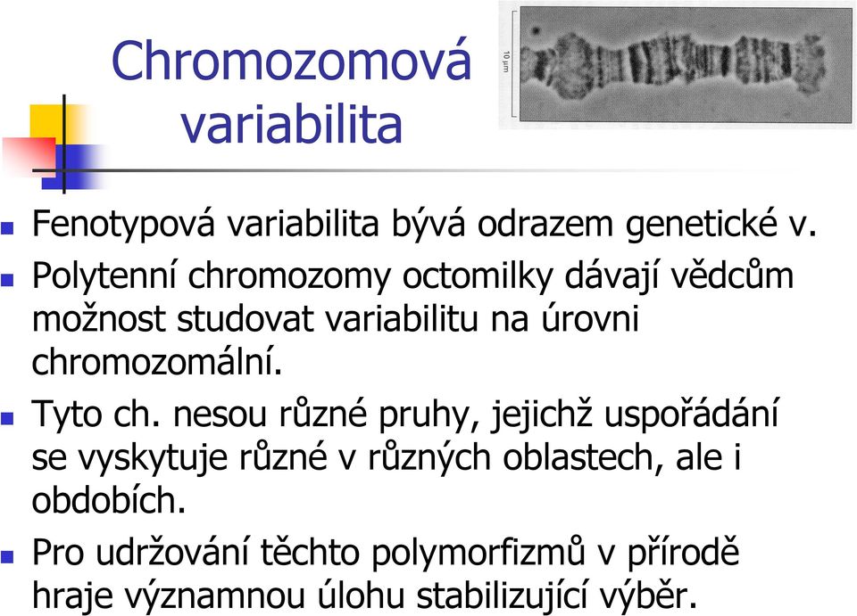 chromozomální. Tyto ch.