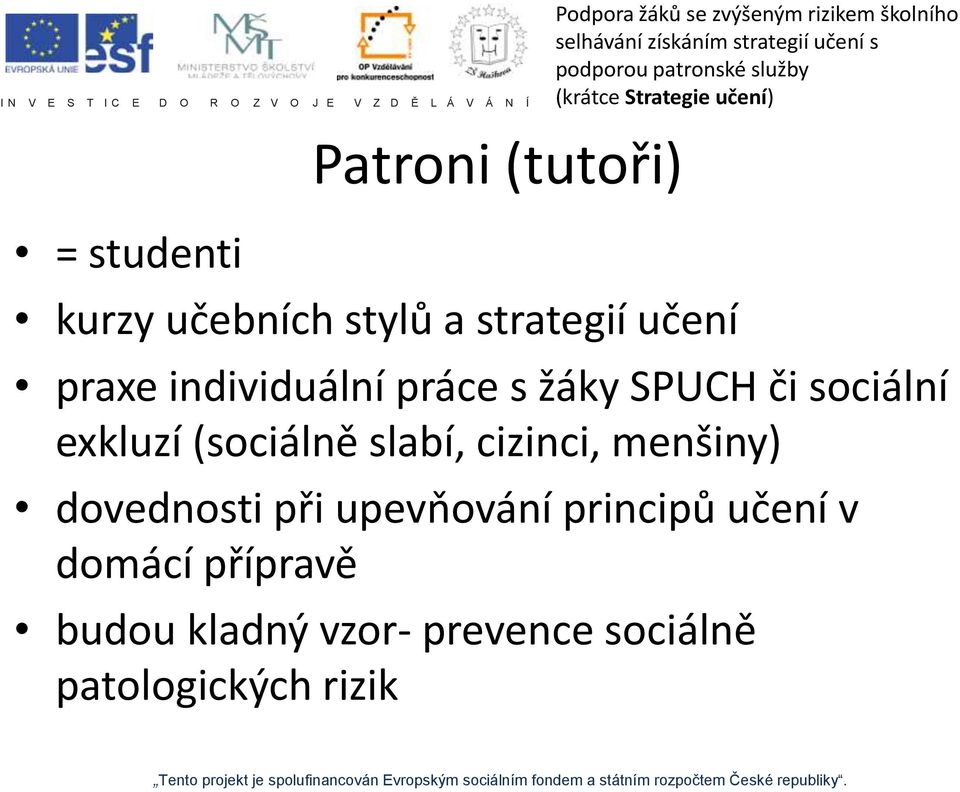 slabí, cizinci, menšiny) dovednosti při upevňování principů učení v