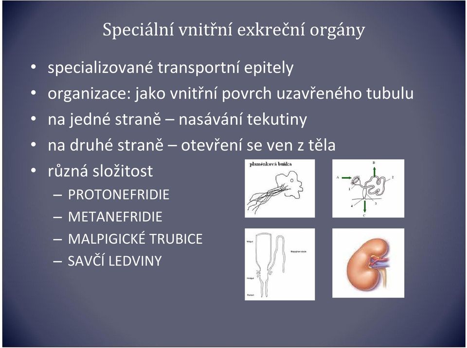 straně nasávání tekutiny na druhé straně otevření se ven z těla