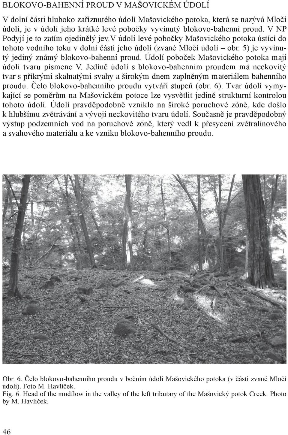 5) je vyvinutý jediný známý blokovo-bahenní proud. Údolí poboček Mašovického potoka mají údolí tvaru písmene V.