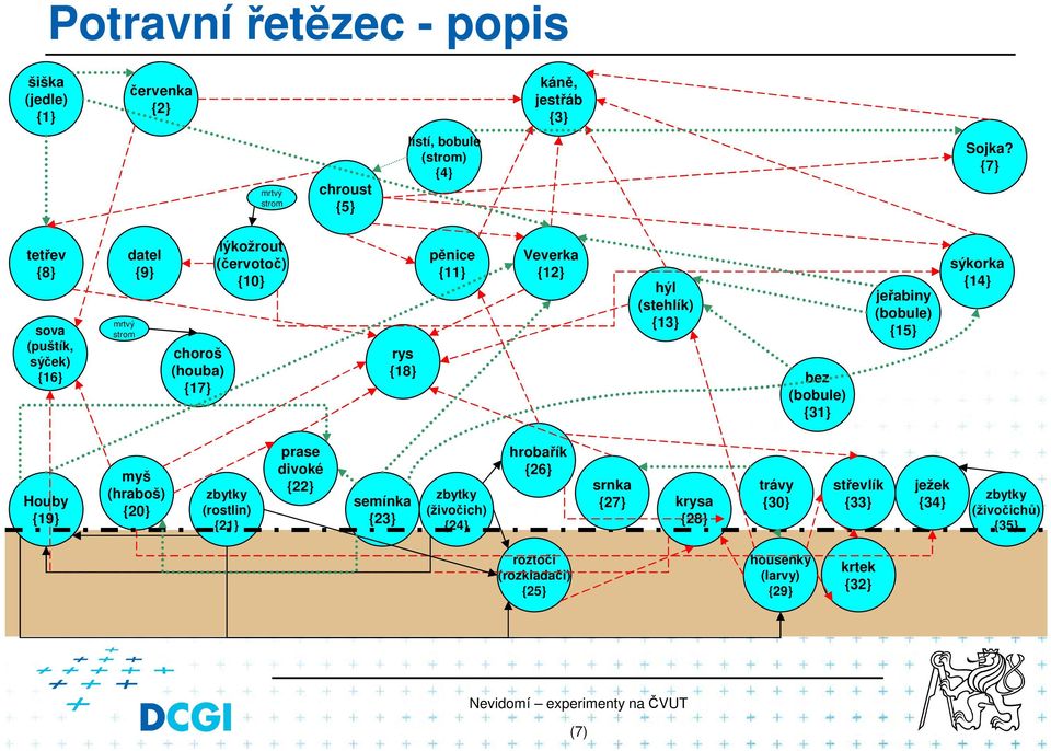 {7} tetřev {8} datel {9} lýkožrout (červotoč) {10} pěnice {11} Veverka {12} hýl (stehlík) {13} sýkorka {14} jeřabiny (bobule) {15} sova (puštík, sýček)