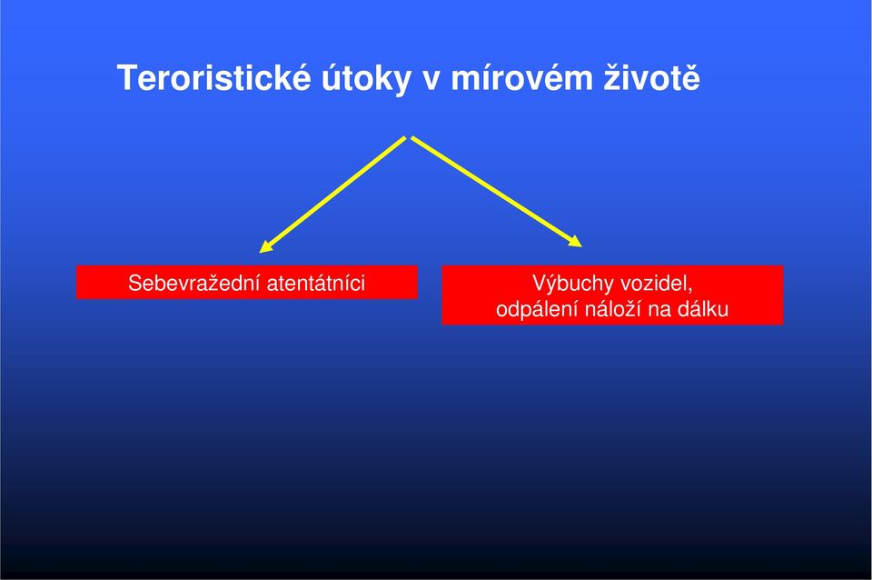 Sebevražední atentátníci