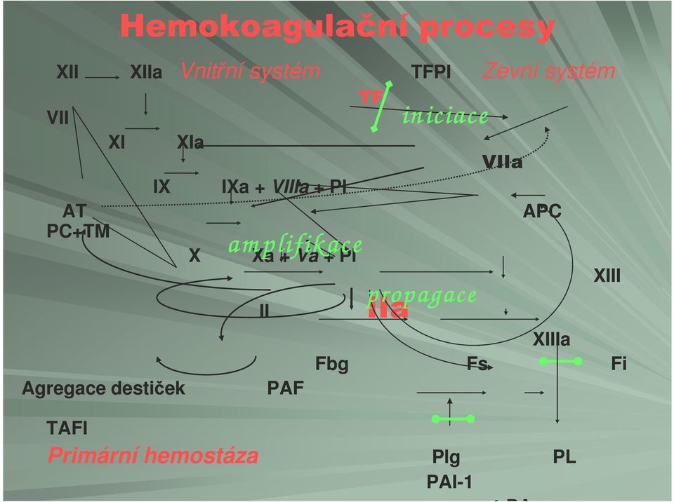 destiček PAF TF TFPI Zevní systém iniciace propagace II IIa