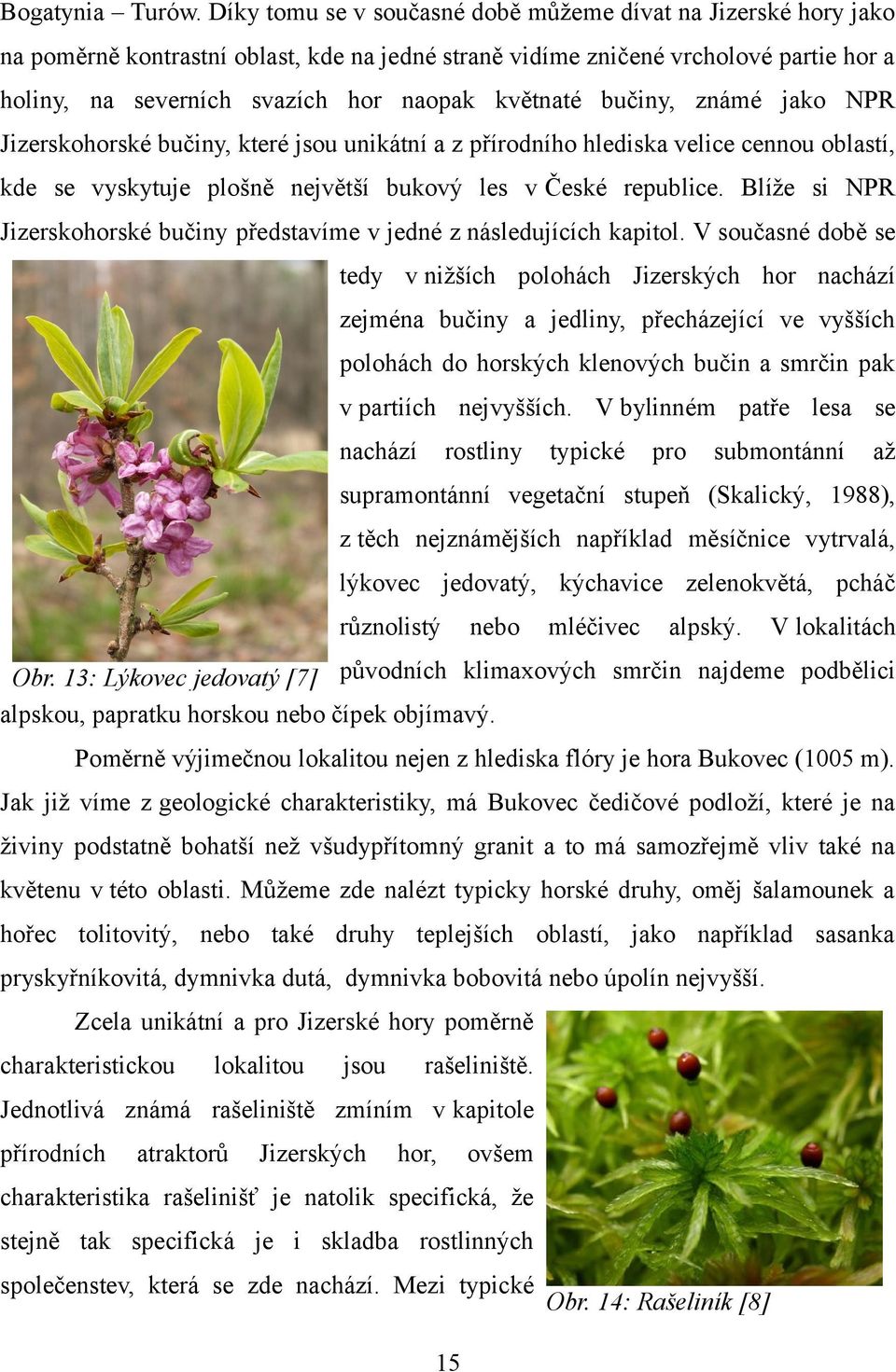 květnaté bučiny, známé jako NPR Jizerskohorské bučiny, které jsou unikátní a z přírodního hlediska velice cennou oblastí, kde se vyskytuje plošně největší bukový les v České republice.