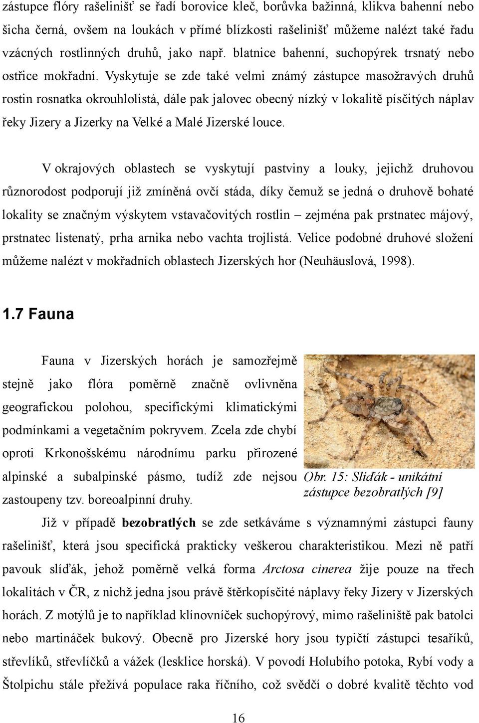 Vyskytuje se zde také velmi známý zástupce masožravých druhů rostin rosnatka okrouhlolistá, dále pak jalovec obecný nízký v lokalitě písčitých náplav řeky Jizery a Jizerky na Velké a Malé Jizerské