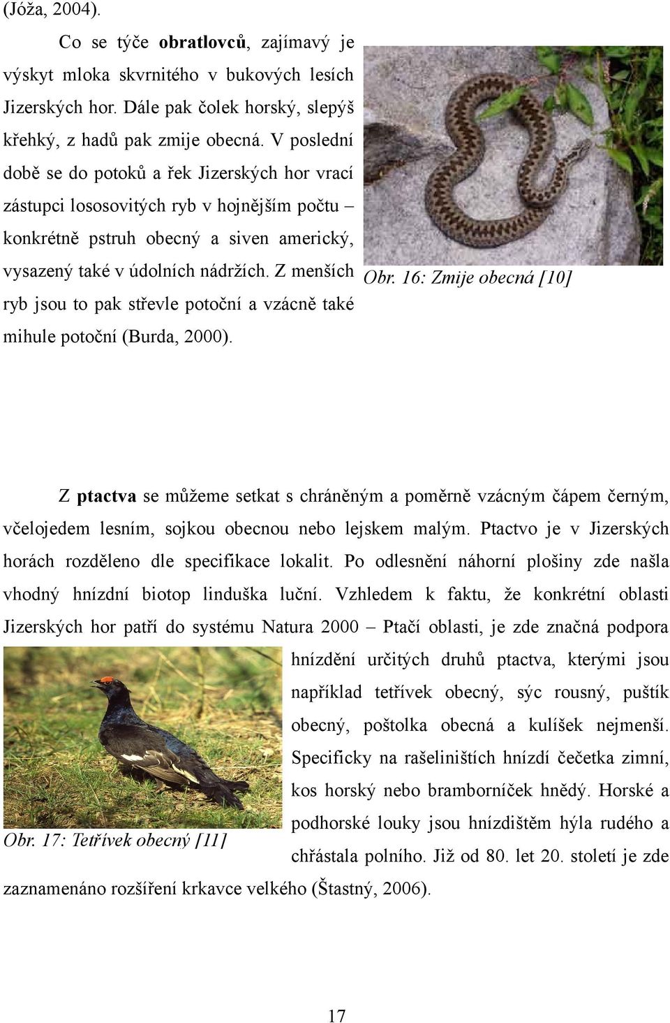 16: Zmije obecná [10] ryb jsou to pak střevle potoční a vzácně také mihule potoční (Burda, 2000).
