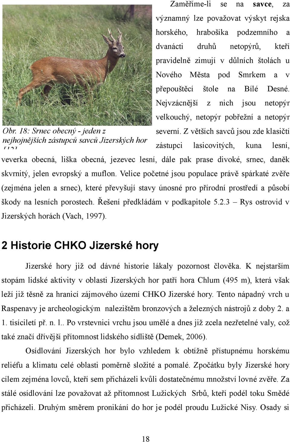 Z větších savců jsou zde klasičtí nejhojnějších zástupců savců Jizerských hor zástupci lasicovitých, kuna lesní, [12] veverka obecná, liška obecná, jezevec lesní, dále pak prase divoké, srnec, daněk