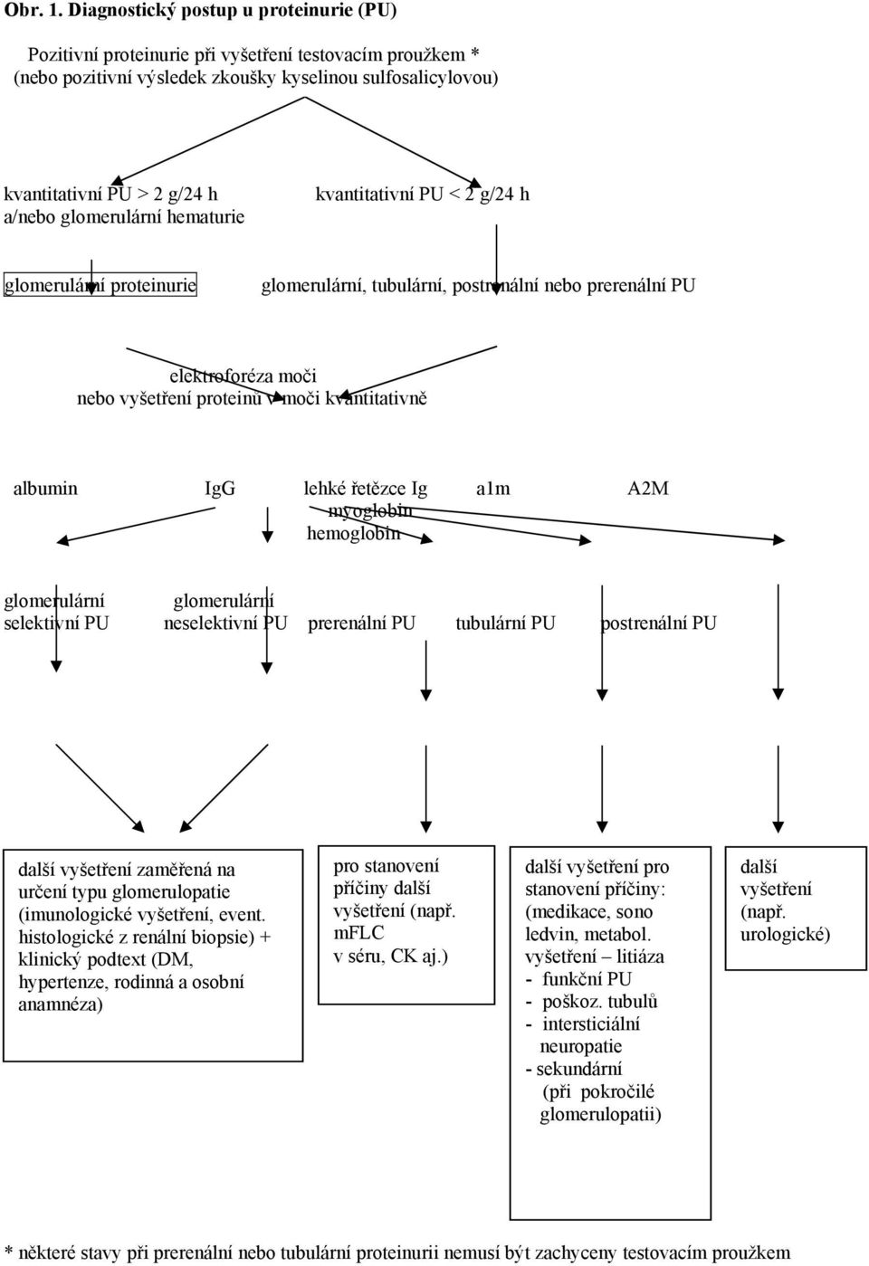 glomerulární hematurie kvantitativní PU < 2 g/24 h glomerulární proteinurie glomerulární, tubulární, postrenální nebo prerenální PU elektroforéza moči nebo vyšetření proteinů v moči kvantitativně