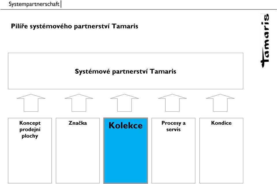 Tamaris Koncept prodejní plochy