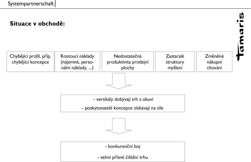 ..) Nedostatečná produktivita prodejní plochy Zastaralé struktury myšlení Změněné