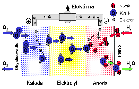 3.1 Princip činnosti Palivový článek se skládá z elektrolytu, který odděluje porézní elektrody, a elektrického okruhu. Elektrolyt nesmí propouštět elektrony, tzn.