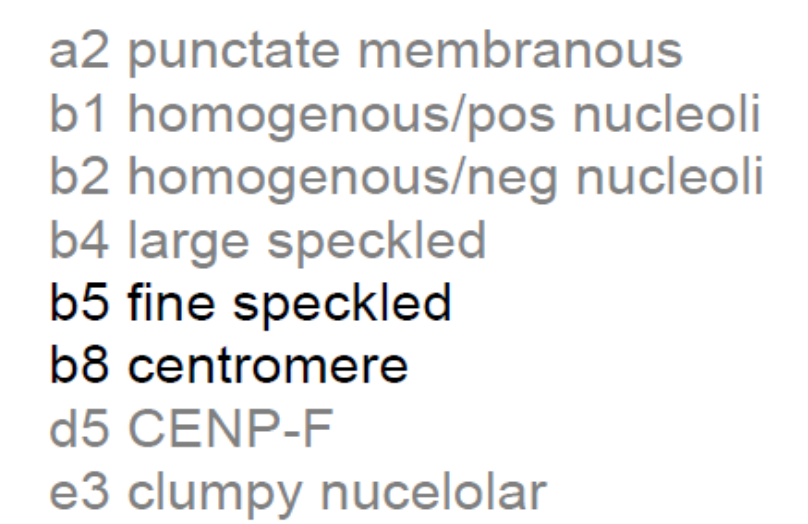 Vzorek 10 v KČS Pleomorfní Mitotický aparát Centroméra Jaderná membrána Nukleolární Hrubá skvrnitá (jaderná matrix) Jemná skvrnitá 15 (44,1%) 13 (38,2%) 1 (2,9%)