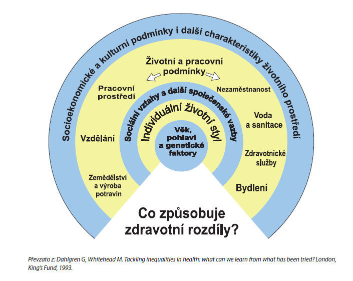 DETERMINANTY ZDRAVÍ Faktory, které mají vliv na zdraví Individuální charakteristiky a chování (dědičnost, pohlaví, životní styl )