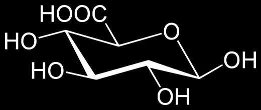 DEGRADAE EU Větší část bilirubinu se slučuje s kyselinou glukuronovou na bilirubinglukuronid (konjugovaný bilirubin) a odchází žlučovody do žluči. Spolu s ní je pak transportován do dvanáctníku.