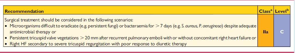 Doporučení pro chirurgickou léčbu endokarditid