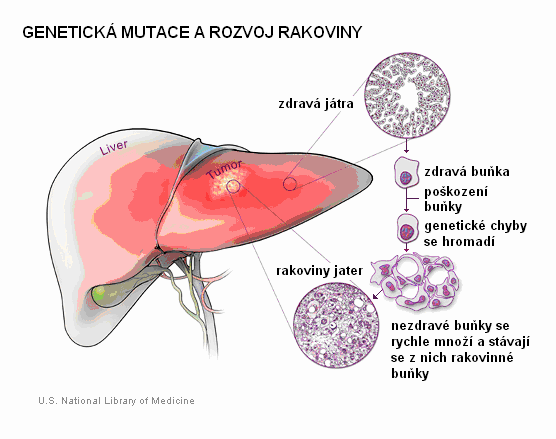 Toxické chemické látky