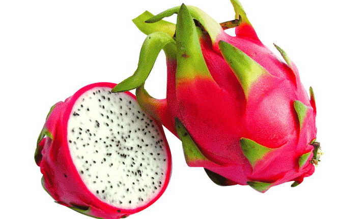 Pitahaja /Pitaya / Dračí ovoce Pitahaja červená, Kaktusovité Hylocereus