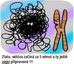 DĚKUJI ZA