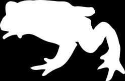Wyoming si to vysvětluje tím, že se na akci nekázala známá bratrská dvojce Drápal alias Upír a jeho bratr Hobit. Při úklidu byla nalezena také sada malých pilníčků na dobrušování upířích zubů.