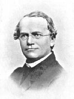 JOHANN GREGOR MENDEL (1822-1884) zakladatel nauky o dědičnosti, vynikající experimantátor čtyři základních genetická