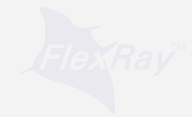 Standard FlexRay 2.