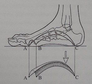 4.6.1 Zatížení nohy ve stoji Brozmanová (1990) popisuje klidný, uvolněný stoj jako dynamický stav, při kterém vznikají drobné výchylky napomáhajíci udržování rovnováhy celého těla.