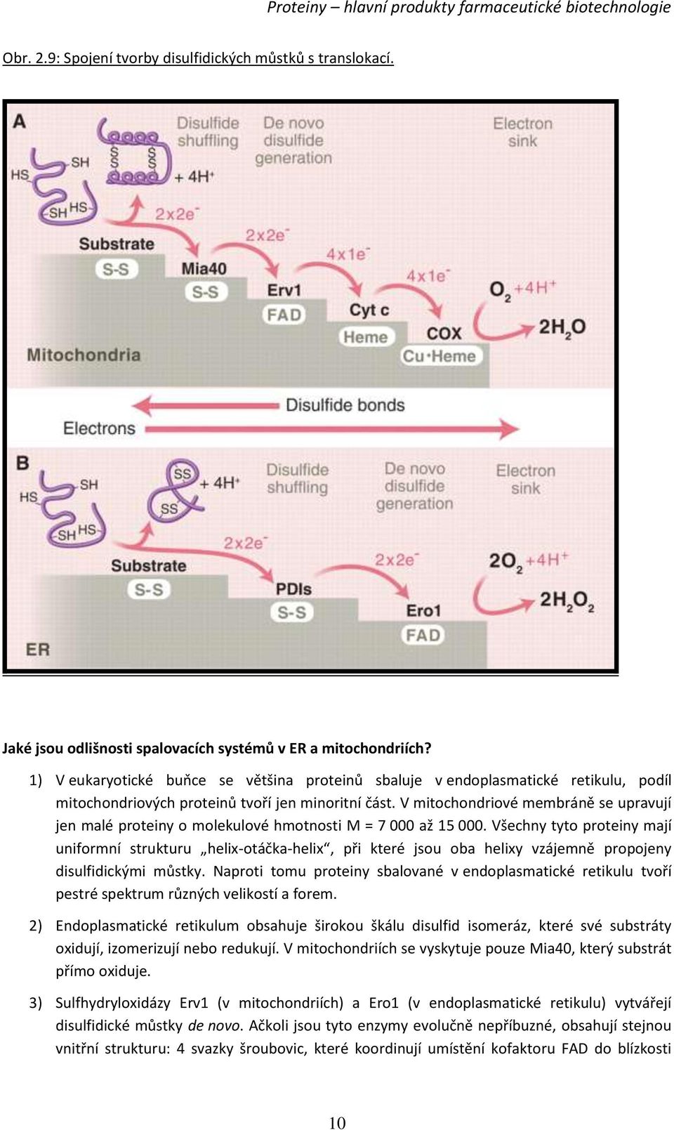 V mitochondriové membráně se upravují jen malé proteiny o molekulové hmotnosti M = 7 000 až 15 000.