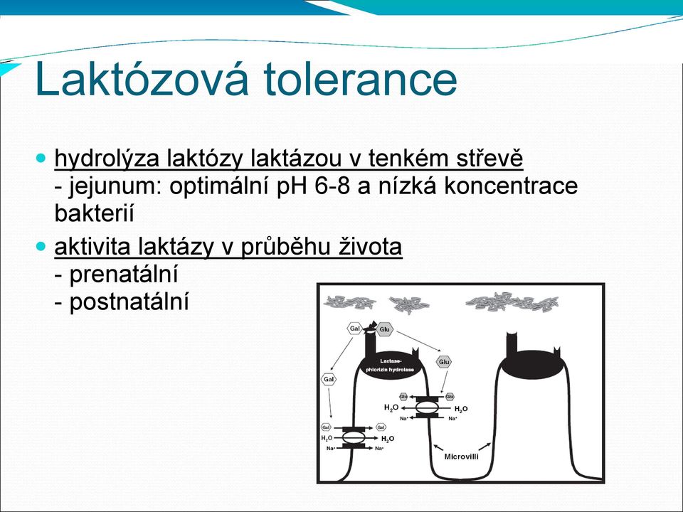 optimální ph 6-8 a nízká koncentrace