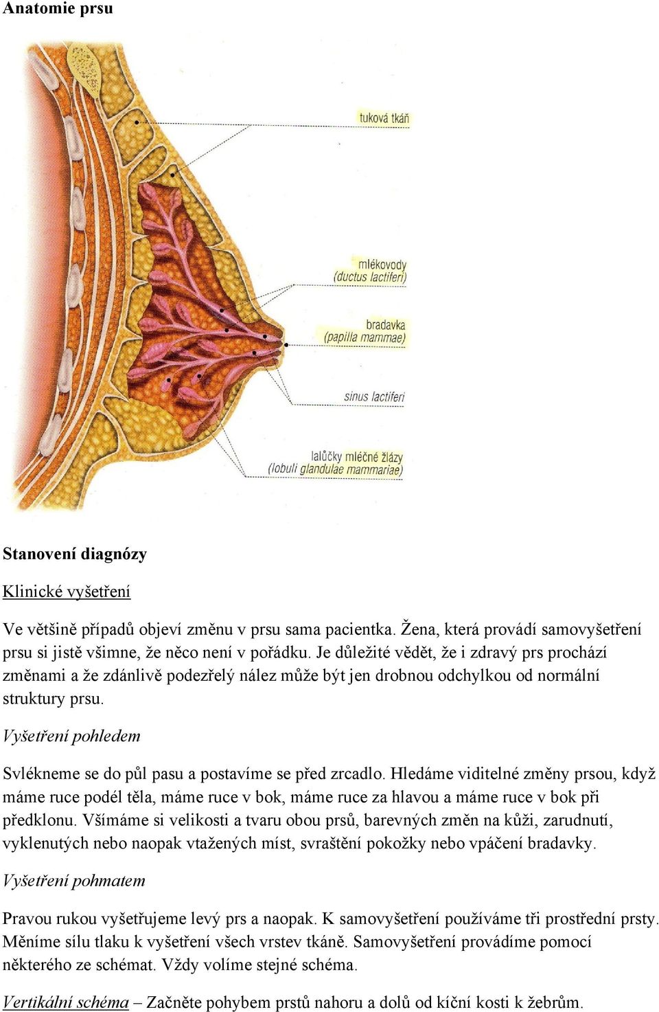 Vyšetření pohledem Svlékneme se do půl pasu a postavíme se před zrcadlo. Hledáme viditelné změny prsou, když máme ruce podél těla, máme ruce v bok, máme ruce za hlavou a máme ruce v bok při předklonu.