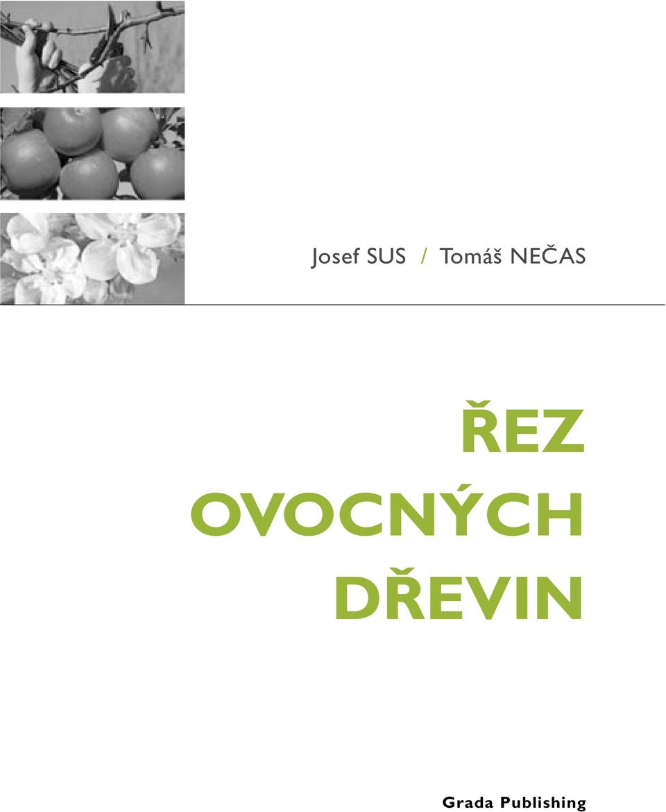 OVOCNÝCH DŘEVIN