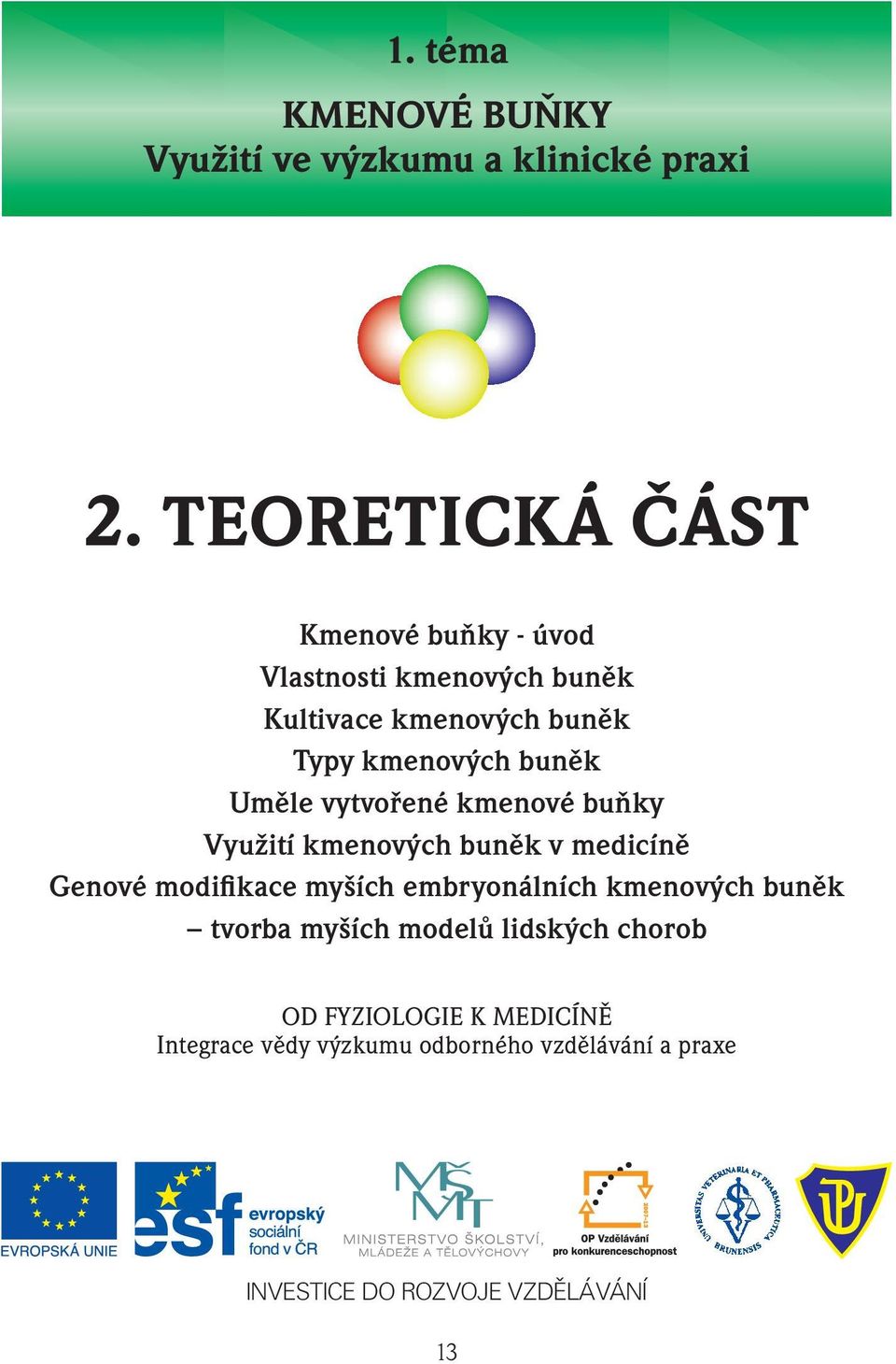 buněk Uměle vytvořené kmenové buňky Využití kmenových buněk v medicíně Genové modifikace myších embryonálních