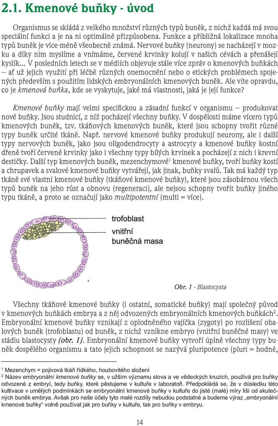 Nervové buňky (neurony) se nacházejí v mozku a díky nim myslíme a vnímáme, červené krvinky kolují v našich cévách a přenášejí kyslík V posledních letech se v médiích objevuje stále více zpráv o